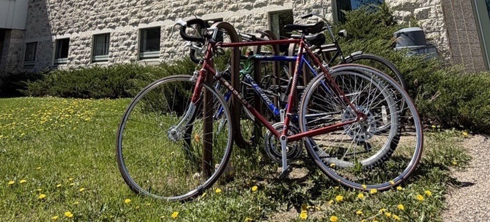locked bikes on campus