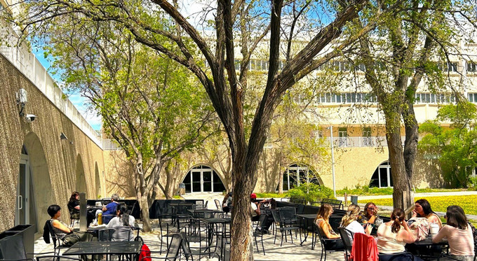 people sitting on a sunny patio