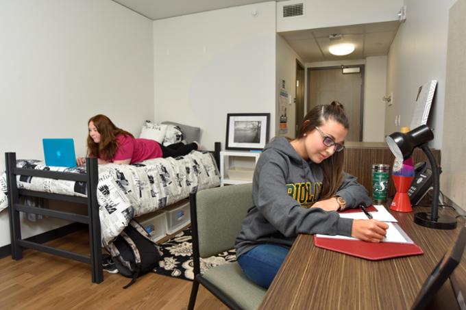 Two students studying in a dorm