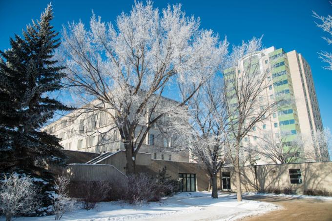 Frost-covered trees in front of a tall building