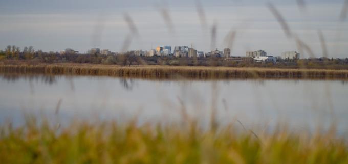 Wascana lake and prairie grass