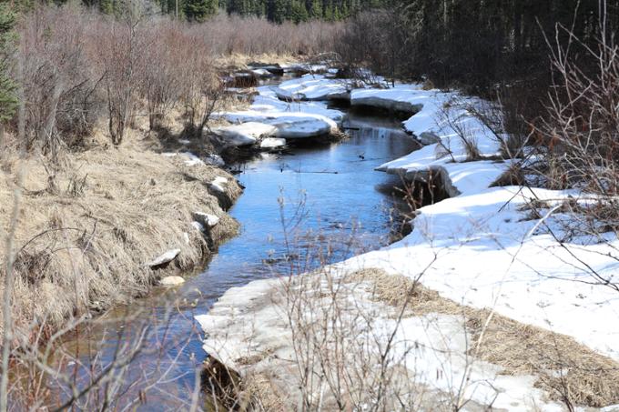 Stream in winter