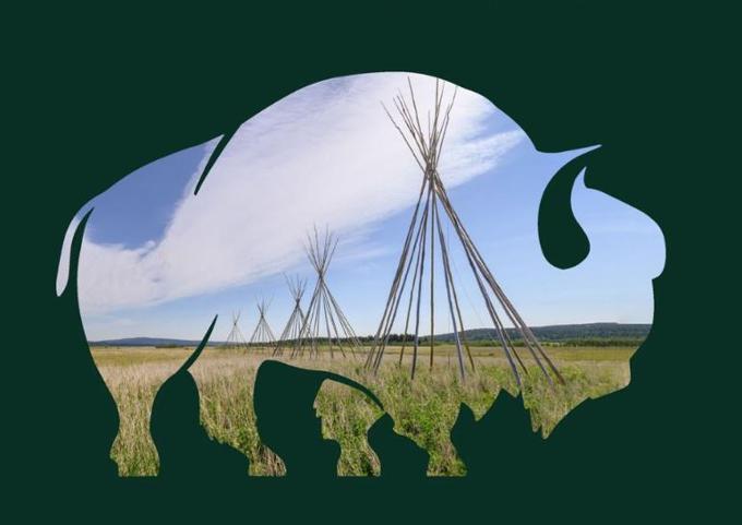 Tipis inside the shadow of a buffalo