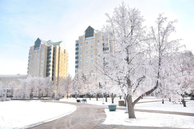 Residence buildings in winter