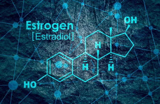 Chemical structure of estrogen