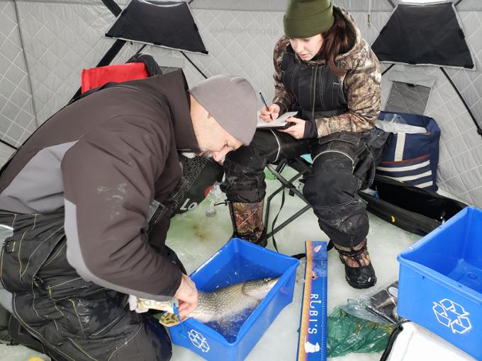 Two anglers getting data from a caught fish.